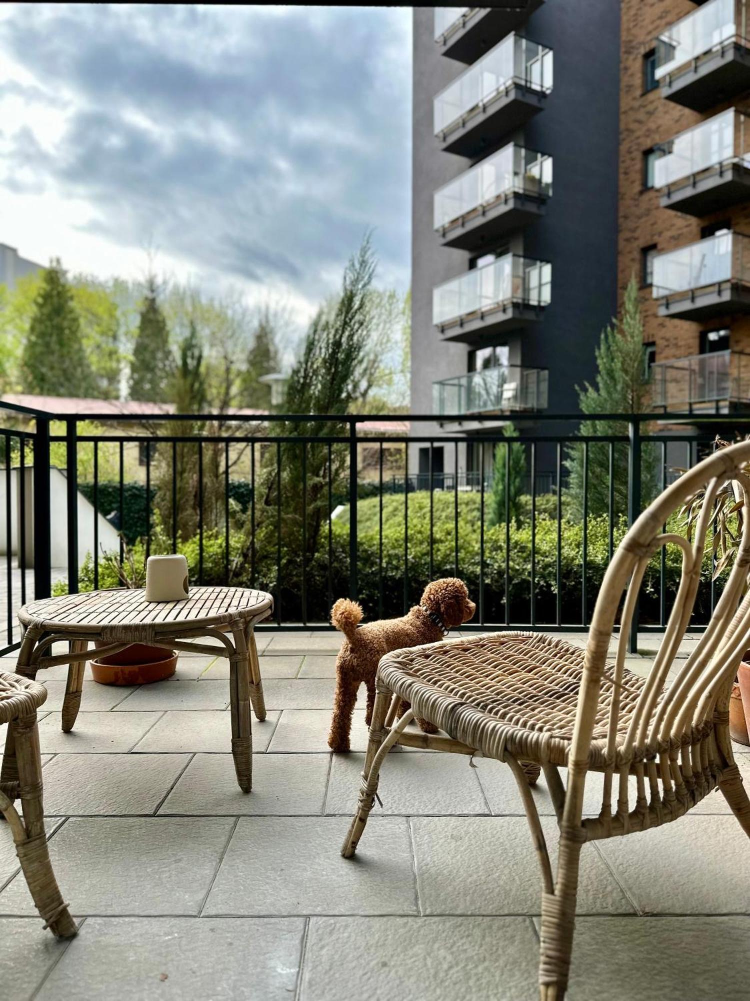 Pure Apartment N°1 Βρότσλαβ Εξωτερικό φωτογραφία